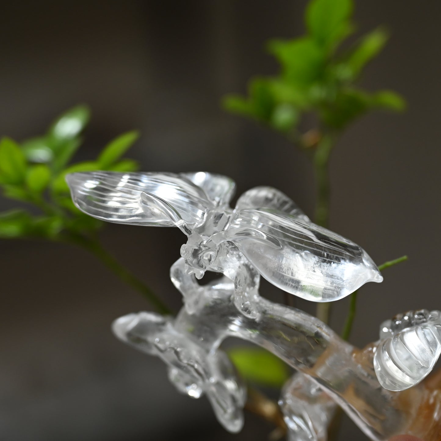Goldenhealer Butterfly Sculpture Crystal Healing Hand Carved