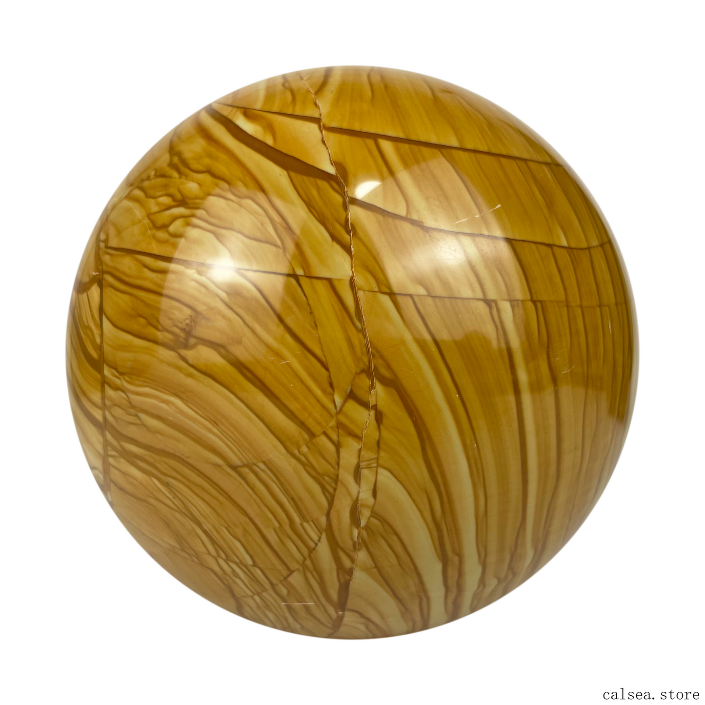 Petrified Wood Sphere Crystal Healing Sphere/Ball