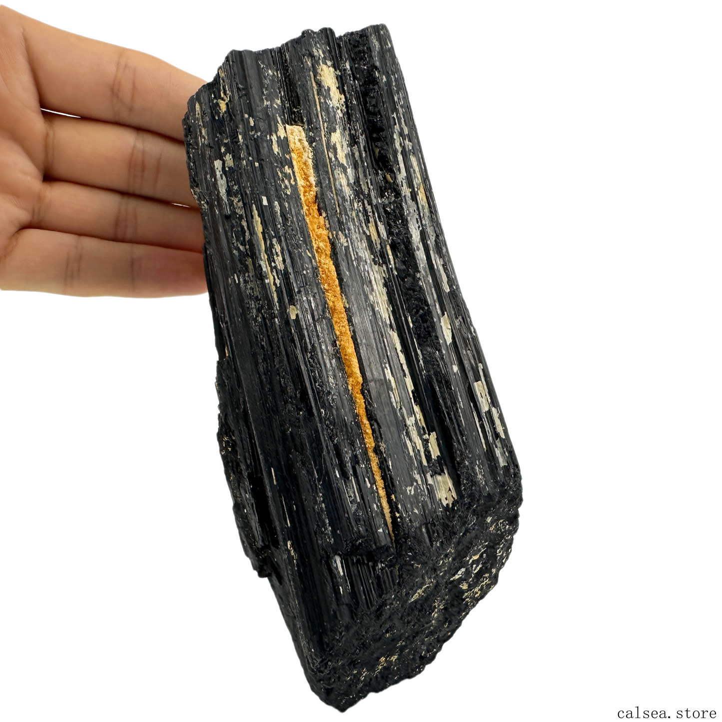 Black Tourmaline Specimens Naturally Occurring Art Collection Ornamental