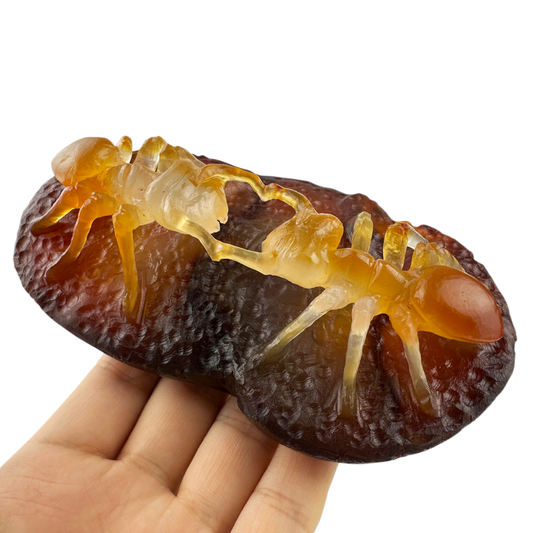 Awesome Agate Ant Sculpture Crystal Healing Hand Carved Crystal Ornaments