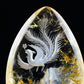 Awesome Goldenhealer Phoenix Teardrop Sculpture Crystal Healing Hand Carved