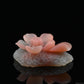 Agate Lotus Flower Sculpture Crystal Healing Hand Carved Ornaments