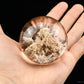 2.11'' Pink Golden Gardenquartz Sphere Lodalite Quartz Crystal Healing Hand Carved Sphere/Ball