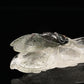 Vivid Gardenquartz Pod Cicada Sculpture Crystal Ornaments Hand Carved