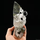 6.96'' Gardenquartz Dragon Sculpture Hand Carved Super Realistic