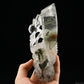 6.96'' Gardenquartz Dragon Sculpture Hand Carved Super Realistic