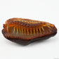 Agate Centipede Sculpture Crystal Healing Hand Carved Super Realistic