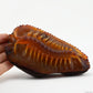 Agate Centipede Sculpture Crystal Healing Hand Carved Super Realistic