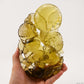 Awesome Brazil Citrine Dragon Sculpture,Hand Carved Super Realistic,Crystal Healing