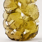 Awesome Brazil Citrine Dragon Sculpture,Hand Carved Super Realistic,Crystal Healing