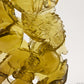 Awesome Brazil Citrine Dragon Sculpture,Hand Carved Super Realistic,Crystal Healing