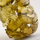 Awesome Brazil Citrine Dragon Sculpture,Hand Carved Super Realistic,Crystal Healing