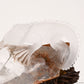 5.7'' Awesome Gardenquartz Lizard Sculpture Crystal Healing Hand Carved Super Realistic