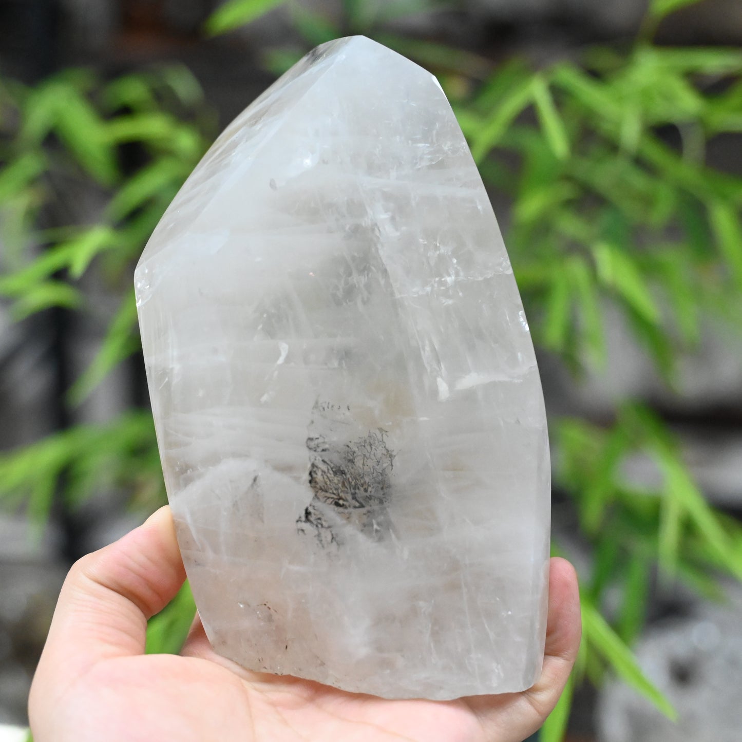 6.37'' Dendritic Quartz FreeForm Crystal Healing Hand Carved