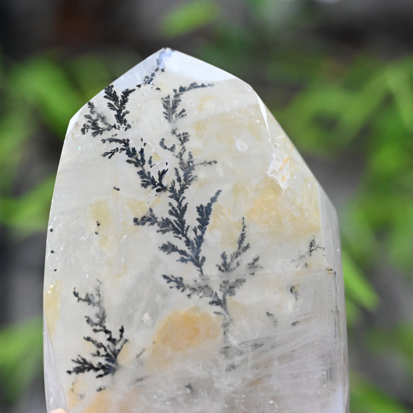 6.37'' Dendritic Quartz FreeForm Crystal Healing Hand Carved
