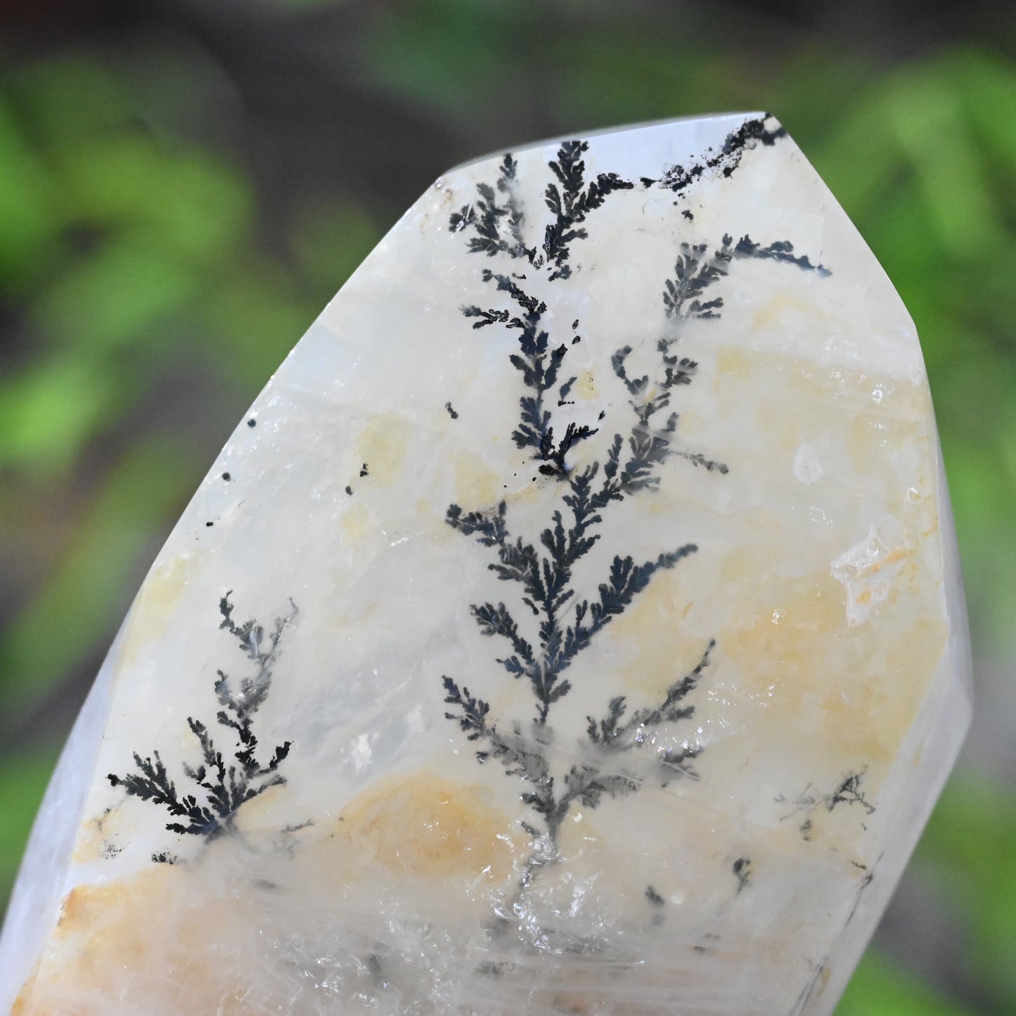 6.37'' Dendritic Quartz FreeForm Crystal Healing Hand Carved