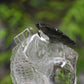 Awesome Gardenquartz Lotus Fish Sculpture Crystal Healing Hand Carved
