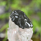 Awesome Gardenquartz Lotus Fish Sculpture Crystal Healing Hand Carved
