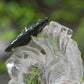 Awesome Gardenquartz Lotus Fish Sculpture Crystal Healing Hand Carved