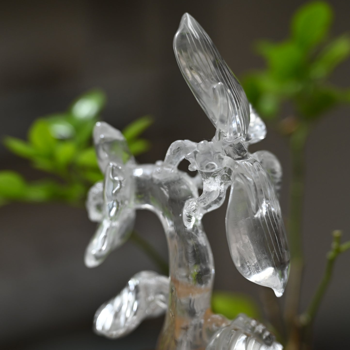 Goldenhealer Butterfly Sculpture Crystal Healing Hand Carved