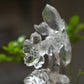 Goldenhealer Butterfly Sculpture Crystal Healing Hand Carved