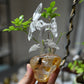 Goldenhealer Butterfly Sculpture Crystal Healing Hand Carved