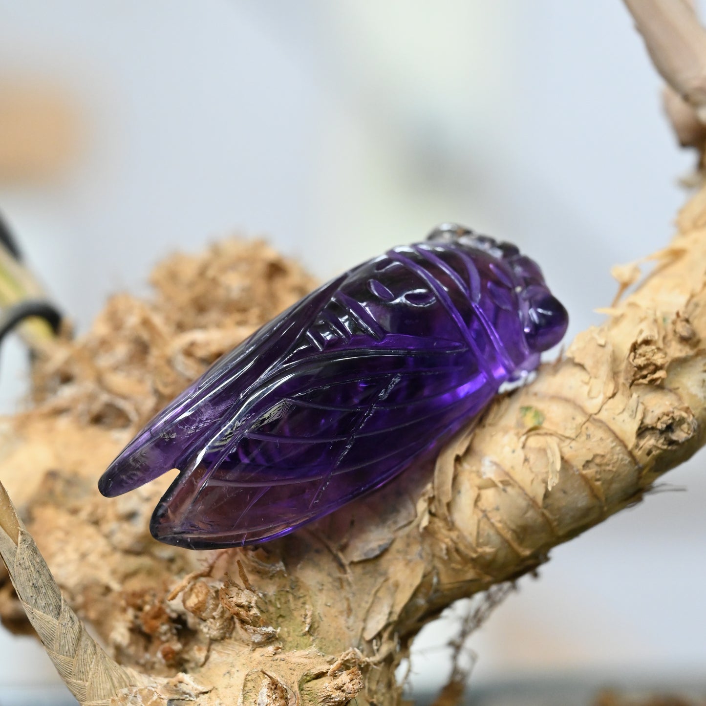 1.99" Gem Amethyst Cicada Sculpture Crystal Healing Hand Carved